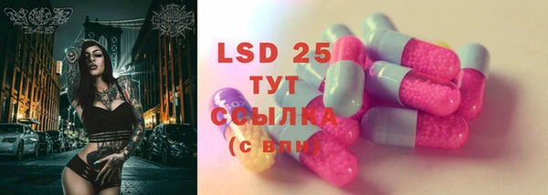 ECSTASY Алзамай