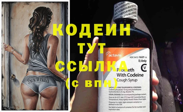 ECSTASY Алзамай