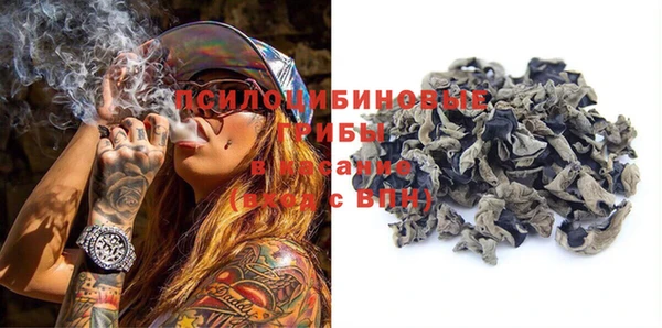 мяу мяу мука Абаза